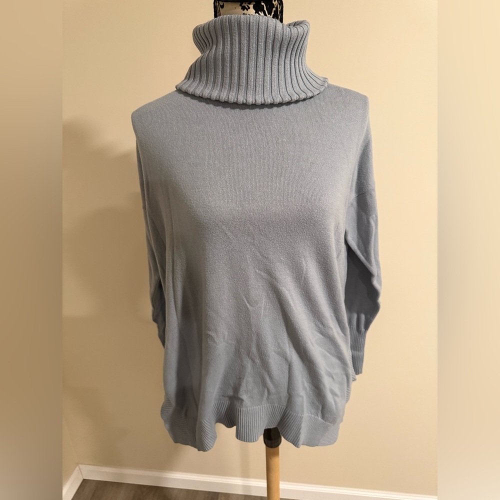 Anne Taylor Turtleneck Sweater​